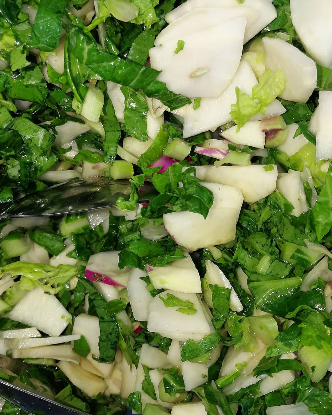 Aci Trunzu Kohlrabi ColoursofSicily