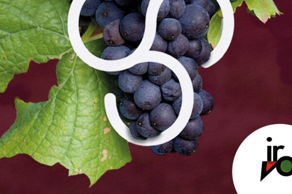 Torna “Autunno in cantina”