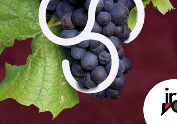 Torna “Autunno in cantina”