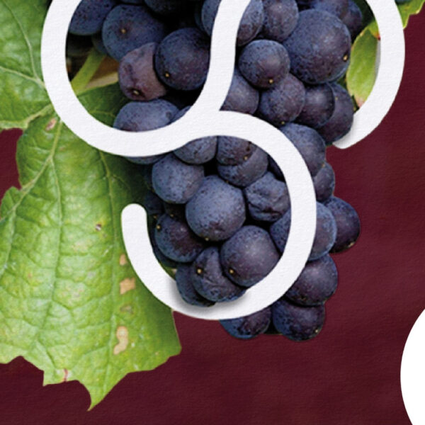 Torna “Autunno in cantina”